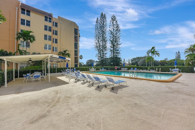 view of swimming pool with a patio and ceiling fan