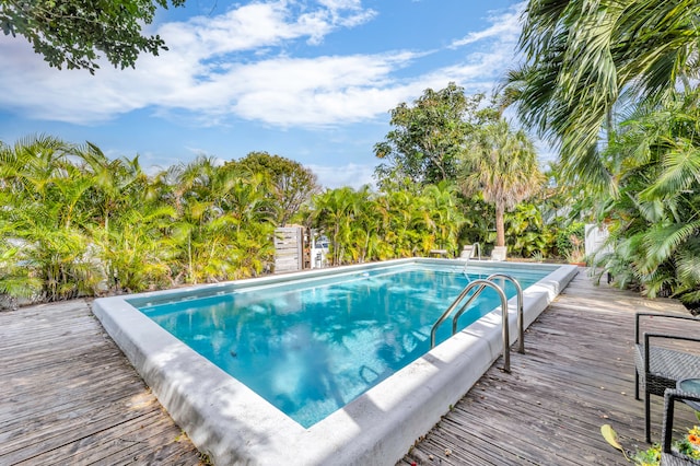 view of swimming pool