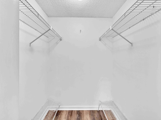 spacious closet featuring hardwood / wood-style floors