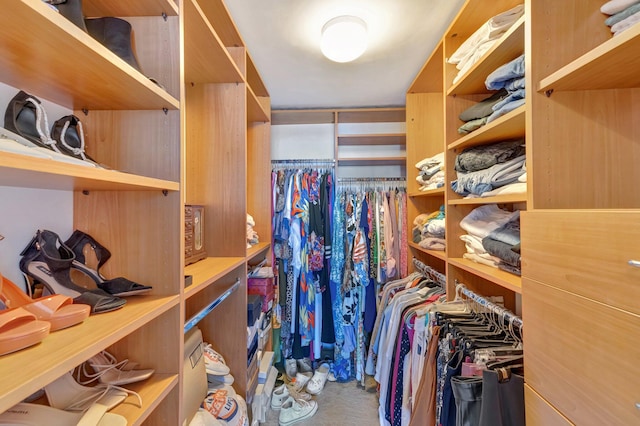 view of walk in closet