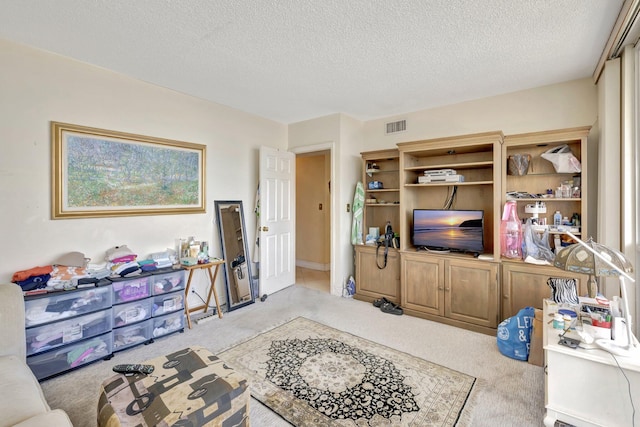 carpeted living room with a textured ceiling