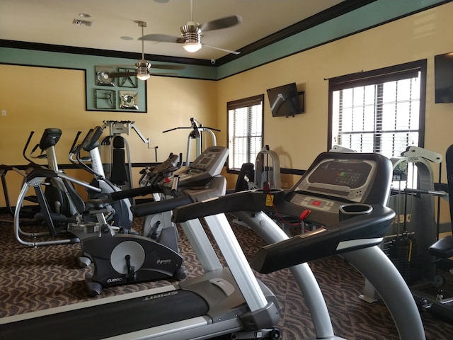 workout area with ornamental molding, a wealth of natural light, and ceiling fan