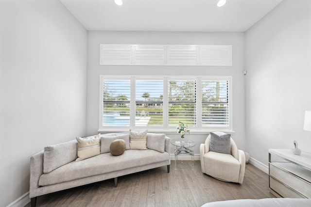 living room featuring hardwood / wood-style floors