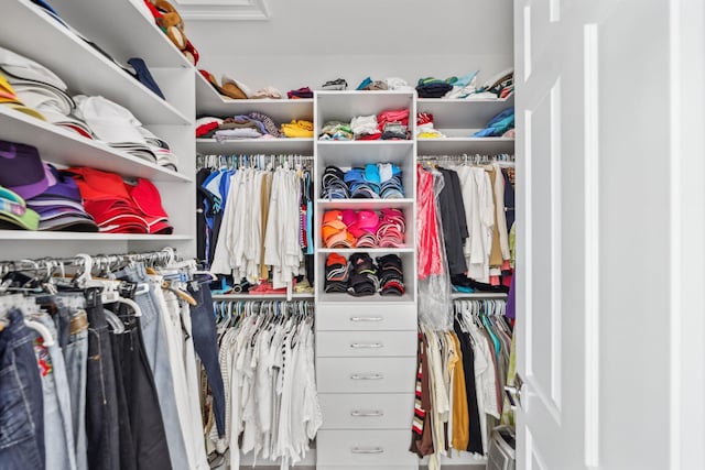 view of spacious closet