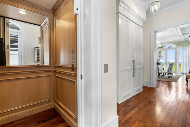 corridor featuring ornamental molding, coffered ceiling, dark wood-type flooring, beam ceiling, and a chandelier