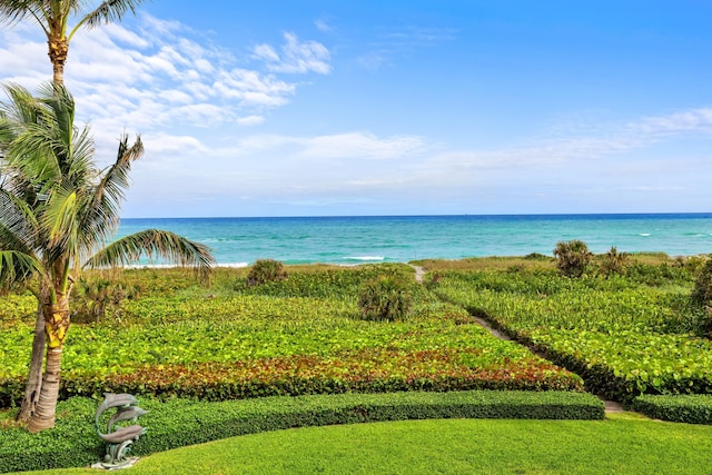 view of water feature featuring a view of the beach