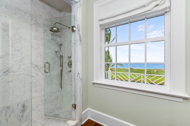 bathroom with a water view, walk in shower, a healthy amount of sunlight, and hardwood / wood-style flooring