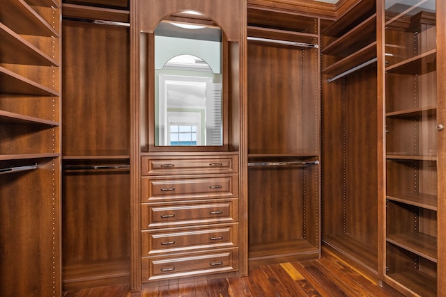 spacious closet with dark hardwood / wood-style flooring