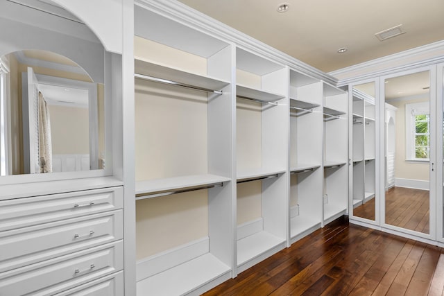 spacious closet featuring dark hardwood / wood-style floors