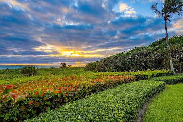 yard at dusk featuring a water view