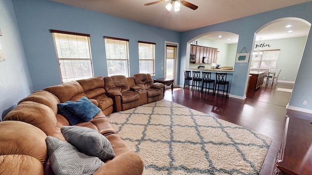 living room featuring a wealth of natural light, dark hardwood / wood-style floors, and ceiling fan