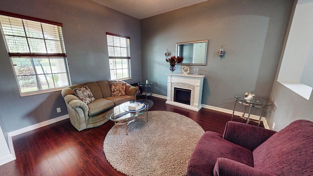 living room with dark hardwood / wood-style floors