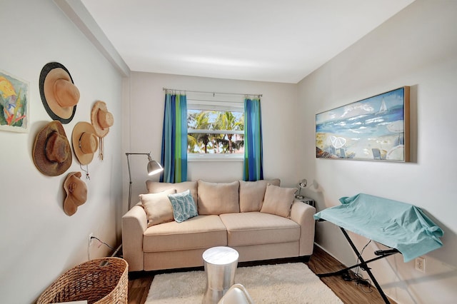 living room with hardwood / wood-style flooring