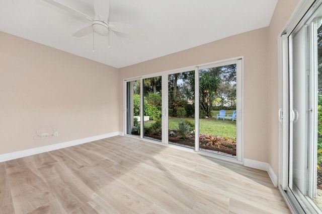 unfurnished room featuring light wood-type flooring and ceiling fan