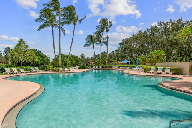 view of swimming pool featuring a patio