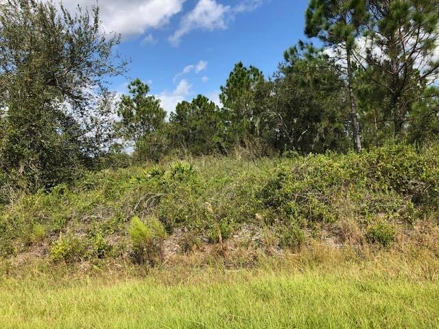 18230 NW 306th St, Okeechobee FL, 34972 land for sale