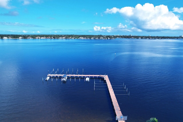 bird's eye view with a water view