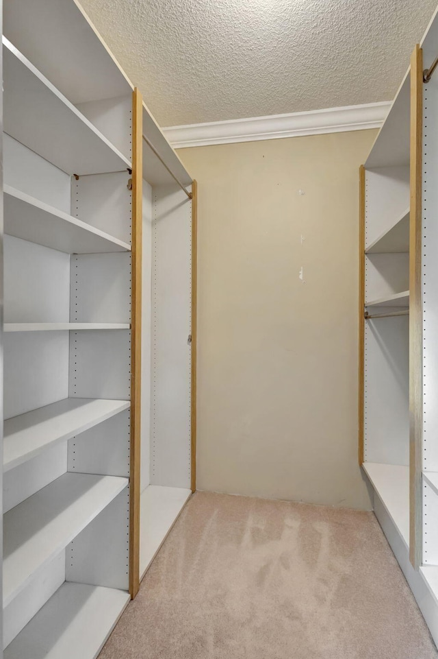 walk in closet with light colored carpet