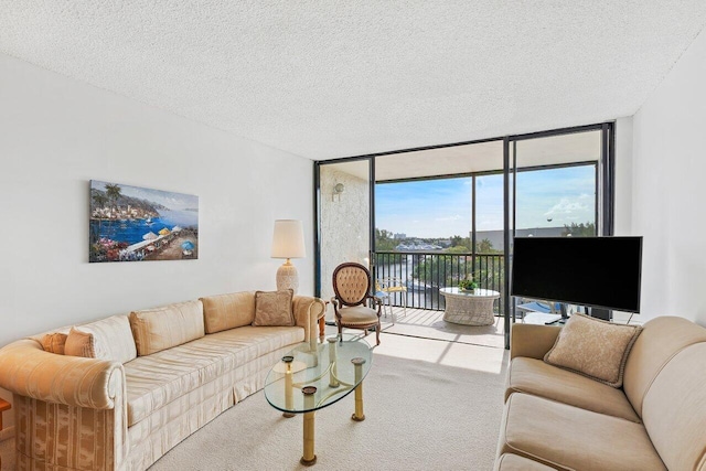 carpeted living room with a textured ceiling and a wall of windows