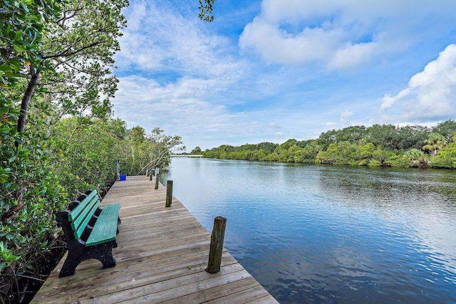 dock area with a water view