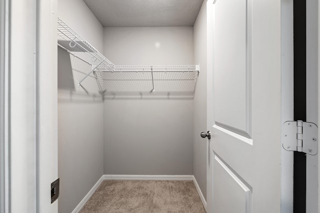 spacious closet featuring light colored carpet