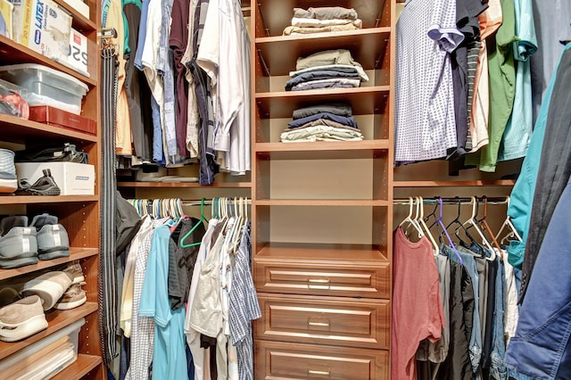 view of spacious closet