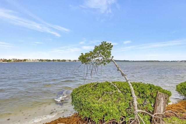 water view