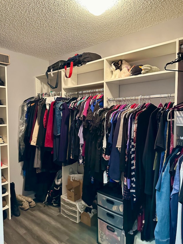 spacious closet with wood-type flooring