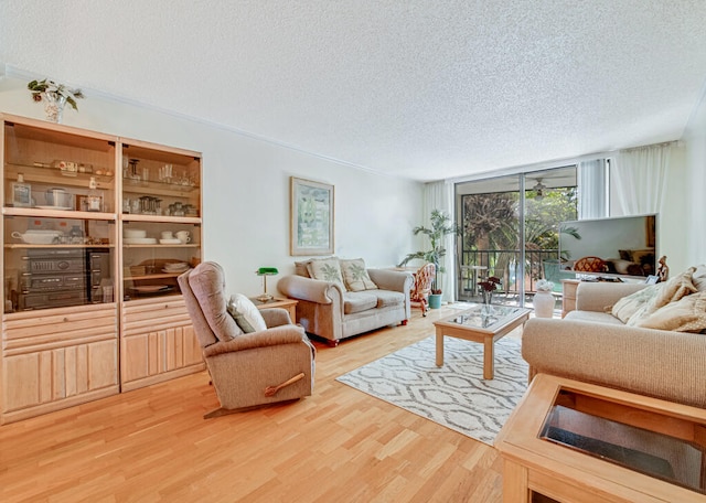 living room featuring hardwood / wood-style floors and a textured ceiling