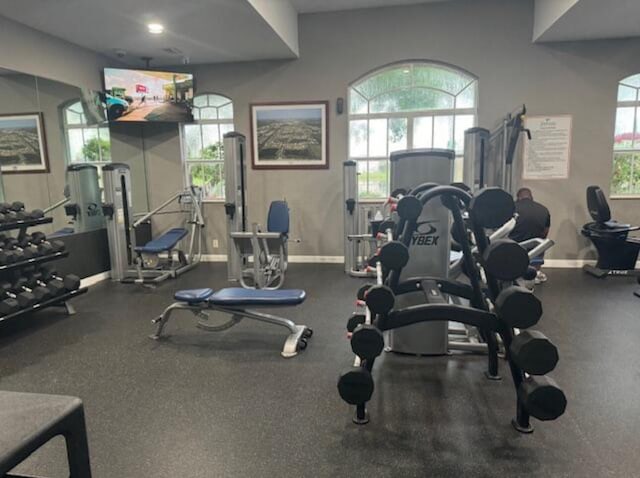 exercise room featuring a healthy amount of sunlight