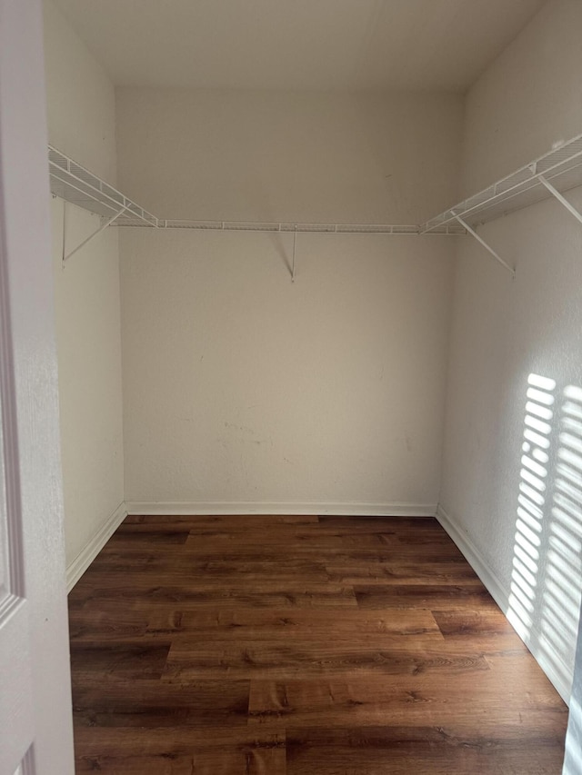 walk in closet featuring dark wood-type flooring