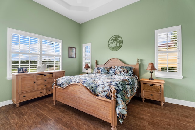 bedroom featuring dark hardwood / wood-style floors and multiple windows