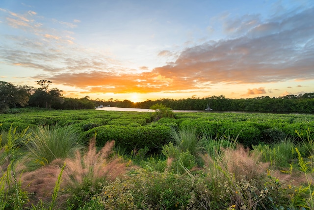 nature at dusk featuring a rural view