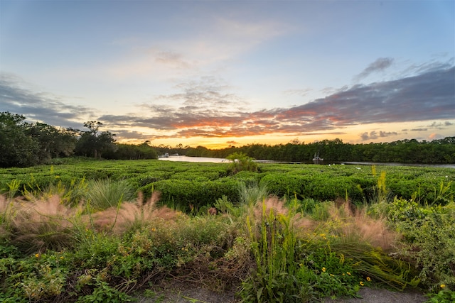 nature at dusk with a rural view