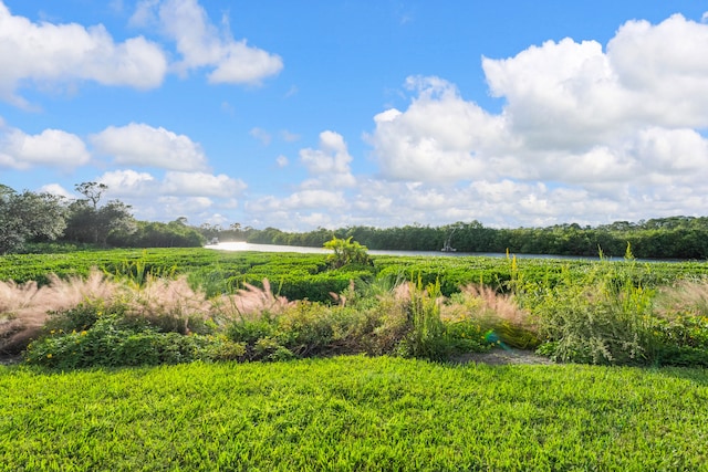 view of yard featuring a rural view and a water view