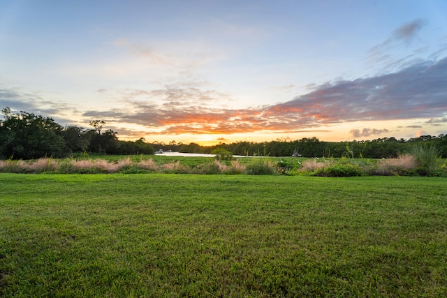 view of yard at dusk