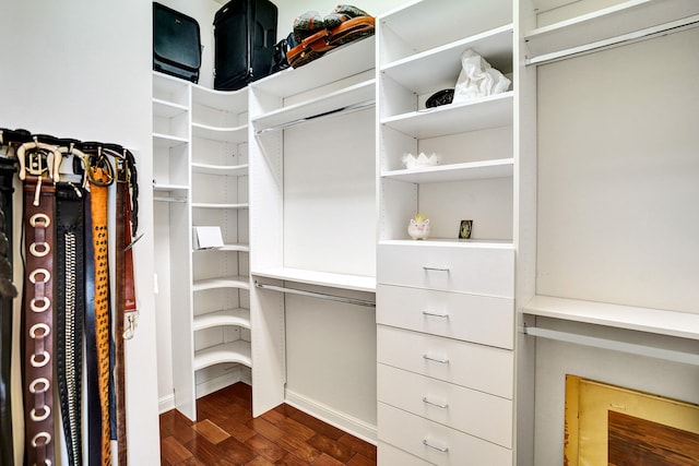 walk in closet with dark hardwood / wood-style floors