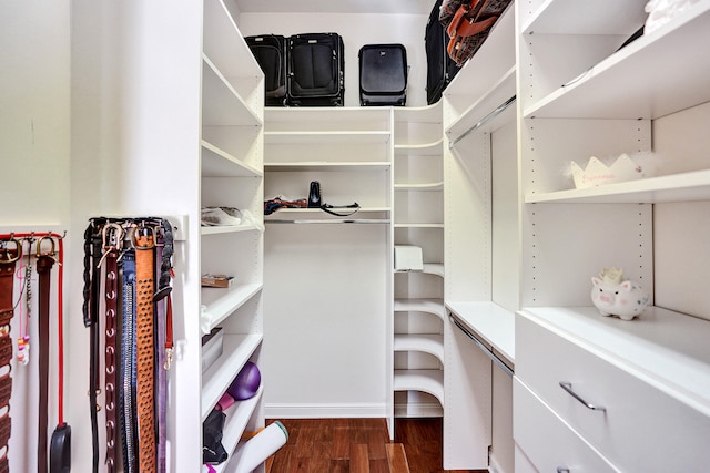 spacious closet featuring dark hardwood / wood-style floors