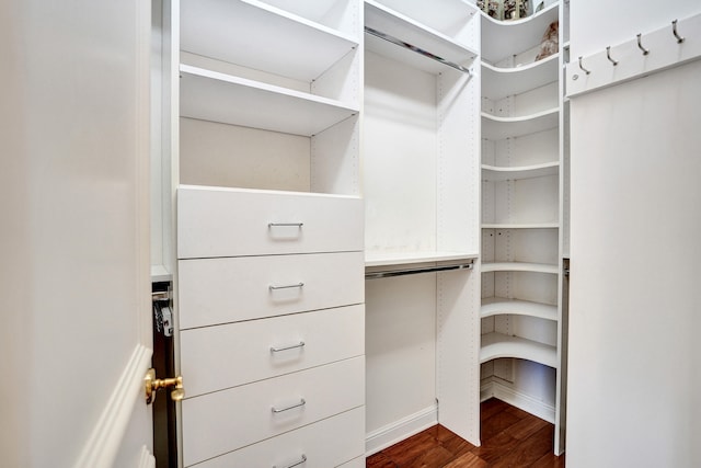 spacious closet featuring dark wood-type flooring