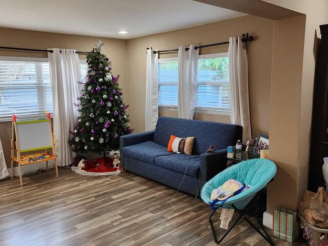 interior space with dark hardwood / wood-style flooring