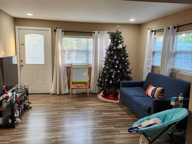 interior space with dark wood-type flooring