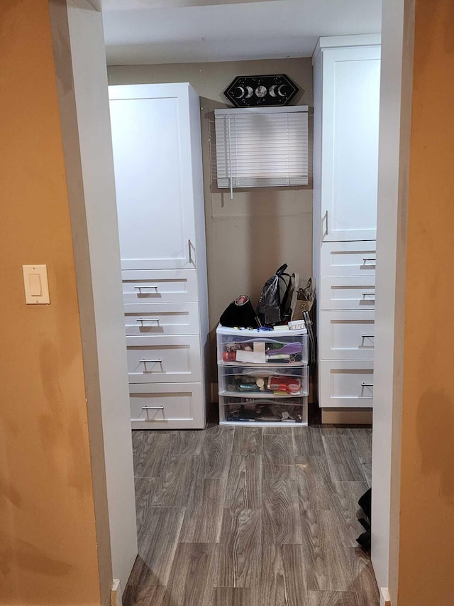 spacious closet featuring dark hardwood / wood-style flooring