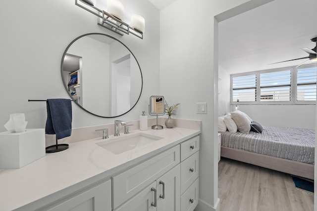 bathroom featuring wood-type flooring and vanity