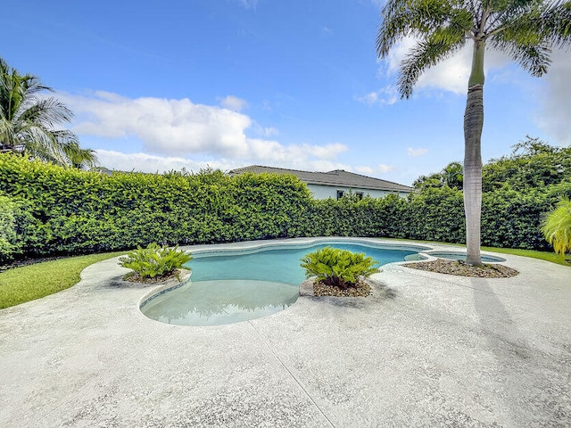 view of swimming pool featuring a patio