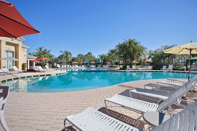 view of swimming pool with a patio