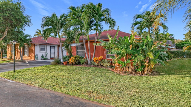 view of front facade with a front yard