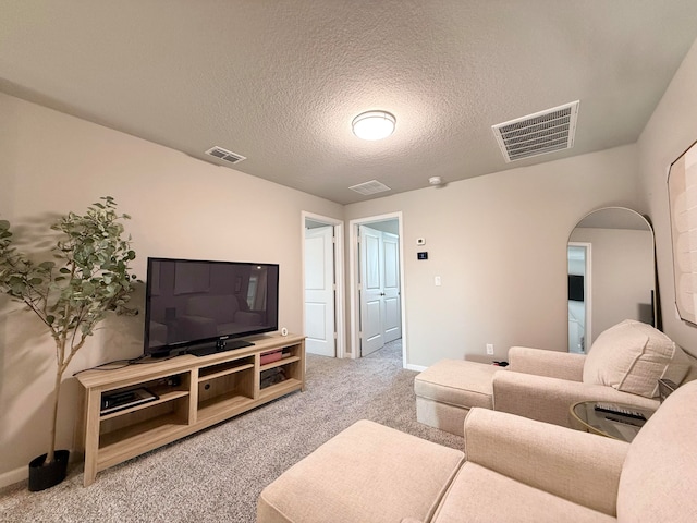 living room featuring carpet flooring and a textured ceiling