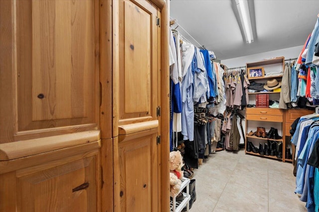 view of walk in closet