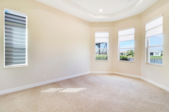 unfurnished room with carpet flooring and a tray ceiling