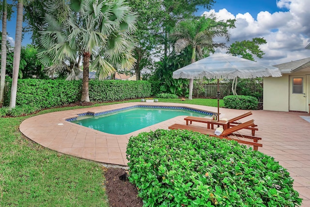 view of swimming pool featuring a patio area